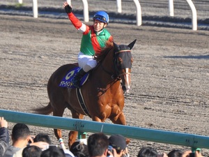 サマーウインド＆藤岡佑介