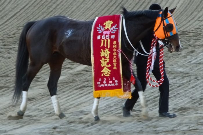 ホッコータルマエ