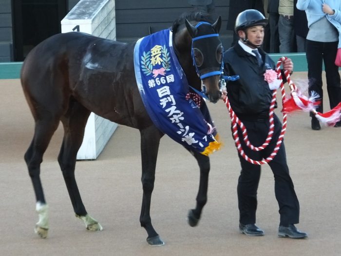 優勝馬ツクバアズマオー