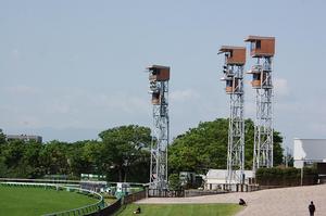 快晴の東京競馬場