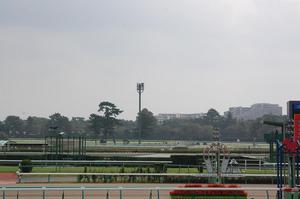 中山競馬場