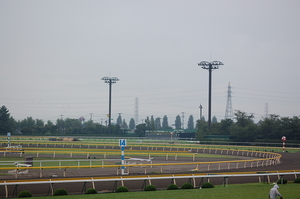 ３０日（土）の新潟競馬場