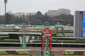 冬の冷たい雨