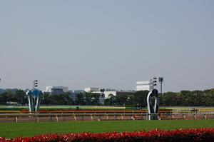 快晴の東京競馬場