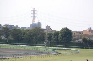 中山競馬場