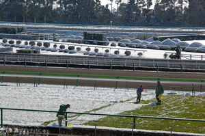 芝コースも除雪作業