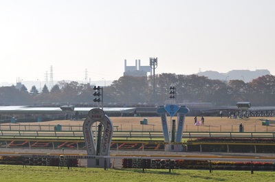 東京競馬場