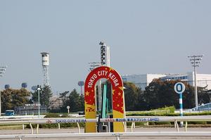 快晴の大井競馬場