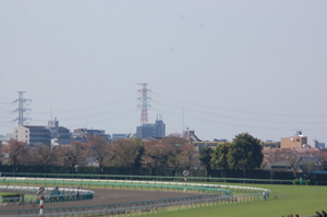 この日の中山競馬場