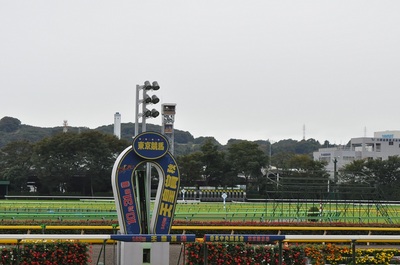 東京競馬場は曇り空