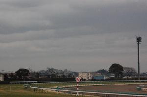 太陽が隠れたままの１日でした