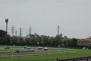 この日の中山競馬場