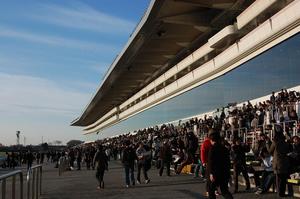 朝の中山競馬場