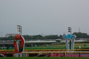 東京競馬場は雨