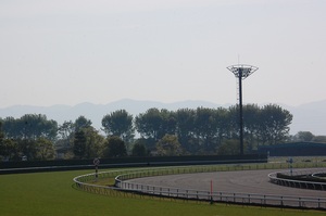 京都競馬場