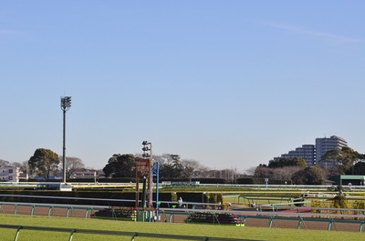 中山競馬場