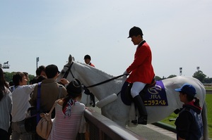 東京競馬場開門直後恒例、誘導馬によるお出迎え