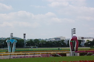 東京競馬場