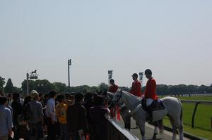 開門直後の東京競馬場