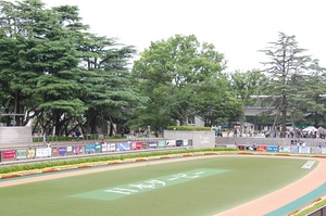 東京競馬場パドック