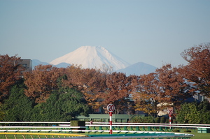 富士山