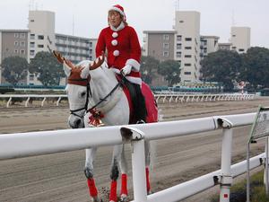 誘導馬クリスマスバージョン