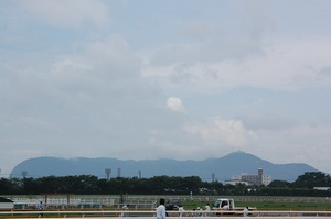 函館山が見えます