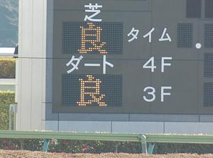 この日も良馬場