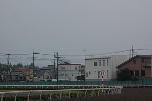 浦和競馬場