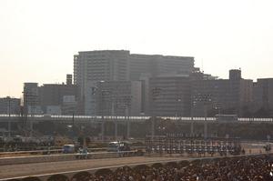 大井競馬場