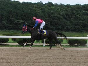 優勝馬ヴァンクルタテヤマ