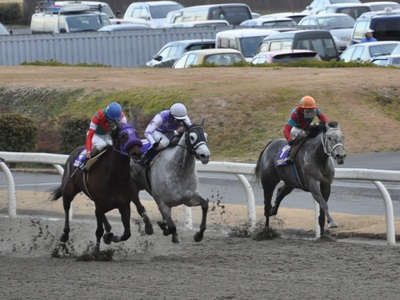 内ラチ沿いからラヴェリータが抜け出す