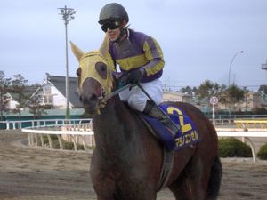 優勝馬　マヨノエンゼル