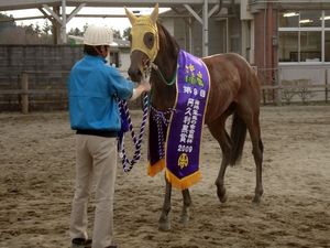 優勝馬　マヨノエンゼル