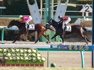 優勝はアイアムカミノマゴ