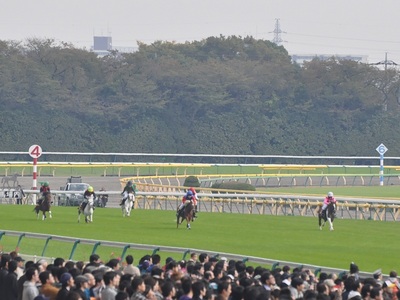 ジョッキーベイビーズは白熱したレースに