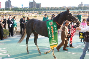 優勝馬ワンダースピード