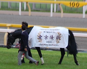 ダービー馬エイシンフラッシュ