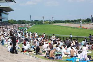 東京競馬場