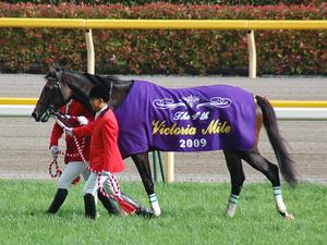 優勝馬ウオッカ