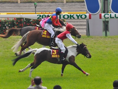 ゴール前は横一線の大接戦