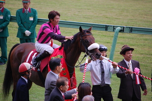 優勝馬マツリダゴッホ