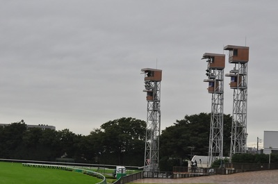 東京競馬場