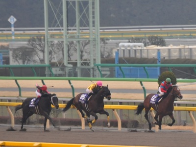 逃げるトランセンド、バーディバーディが浮上