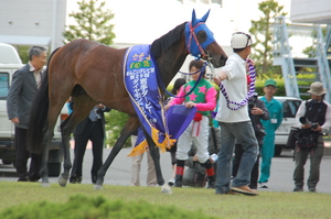 優勝馬　マヨノエンゼル