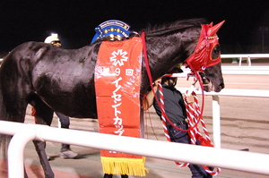 優勝馬・ミラクルエース