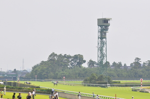 好天の新潟競馬場