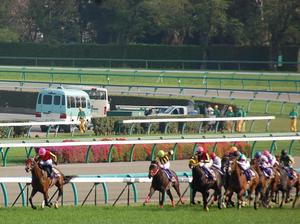 坂で馬群を突き放す