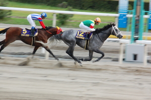 マコトスパルビエロが先頭でゴール