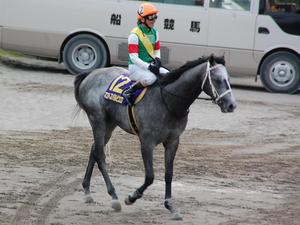 優勝馬マコトスパルビエロ